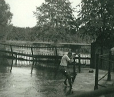 Loading Image