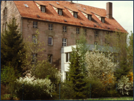 Stacks Image 8