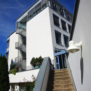 Goldhammer26